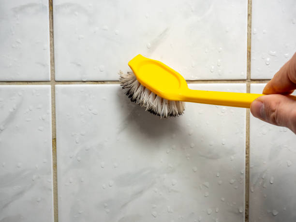 Best Black Mold Removal  in Mianna, AR
