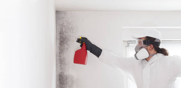 Best Toxic Mold Removal  in Mianna, AR