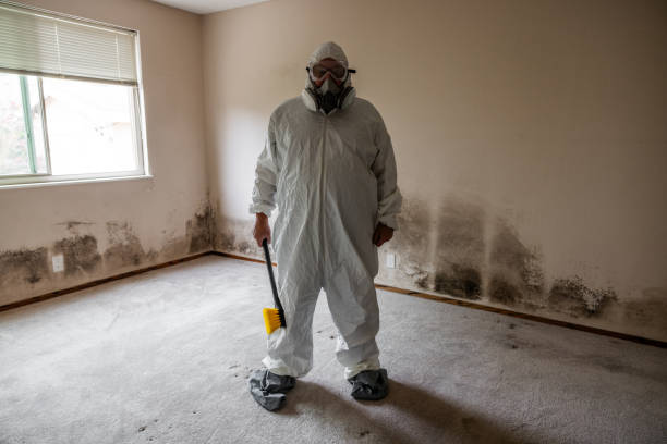 Best Crawl Space Mold Removal  in Mianna, AR