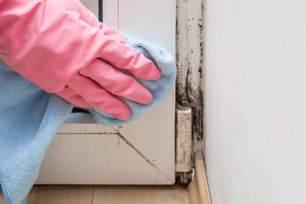 Best Mold Remediation  in Mianna, AR