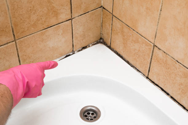 Best Affordable Mold Removal  in Mianna, AR